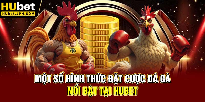 Một số hình thức đặt cược đá gà nổi bật tại Hubet